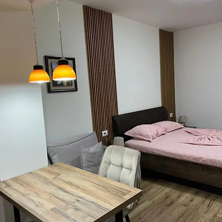 Bright & Roomy Myslym Shyri Apartment