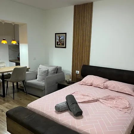 Apartment Bright & Roomy Myslym Shyri *