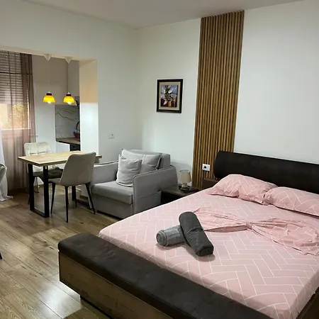 Bright & Roomy Myslym Shyri Apartment *